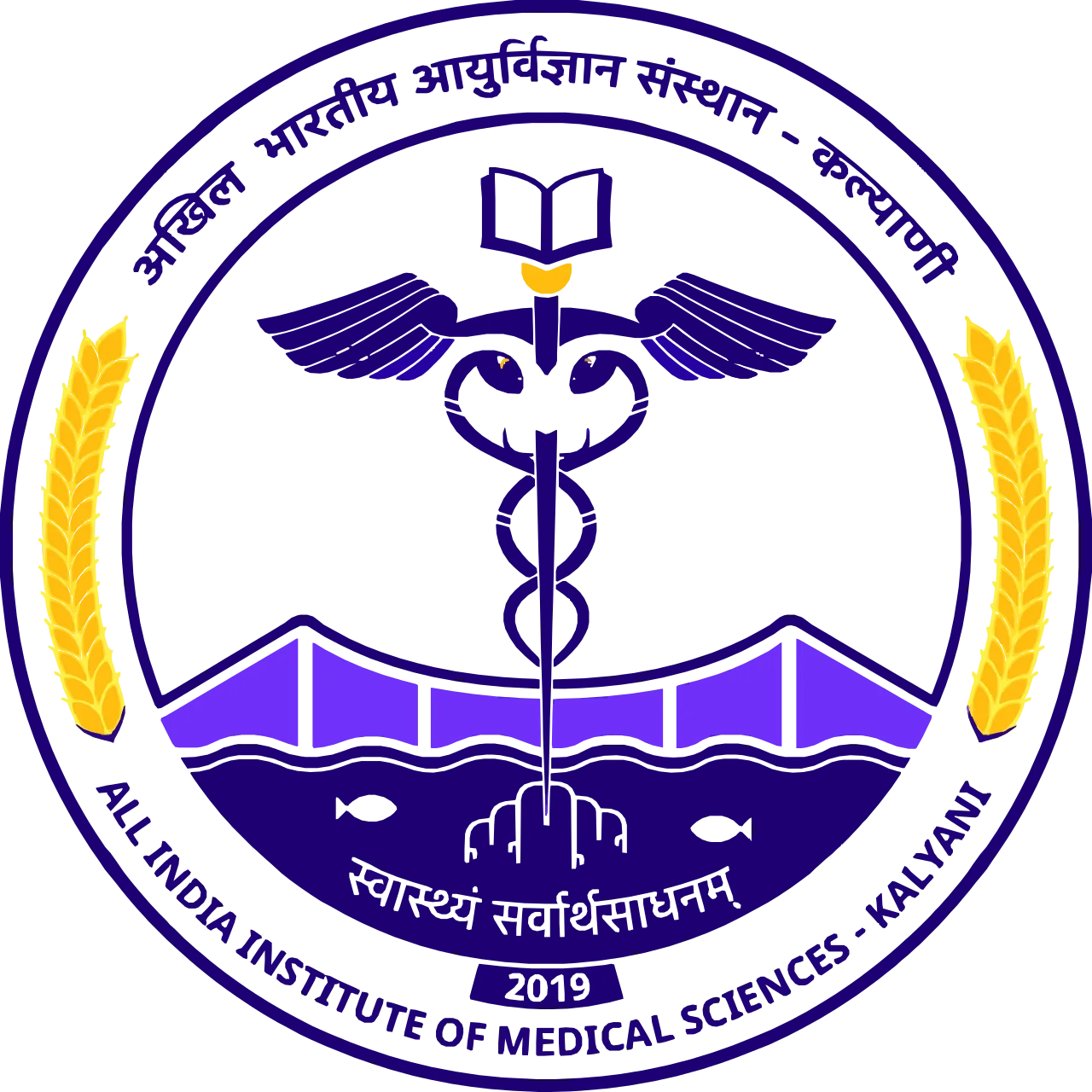 AIIMS